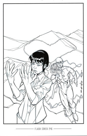 Flash #246 Cover by Brian Stelfreeze