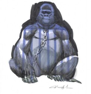 Chained Gorilla by Mindy Lee