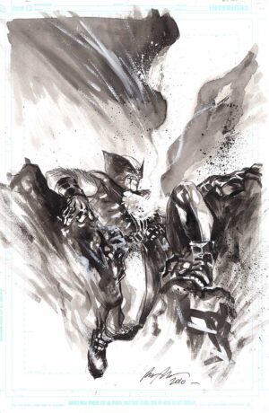 Wolverine Unused Cover by Rafael Albuquerque